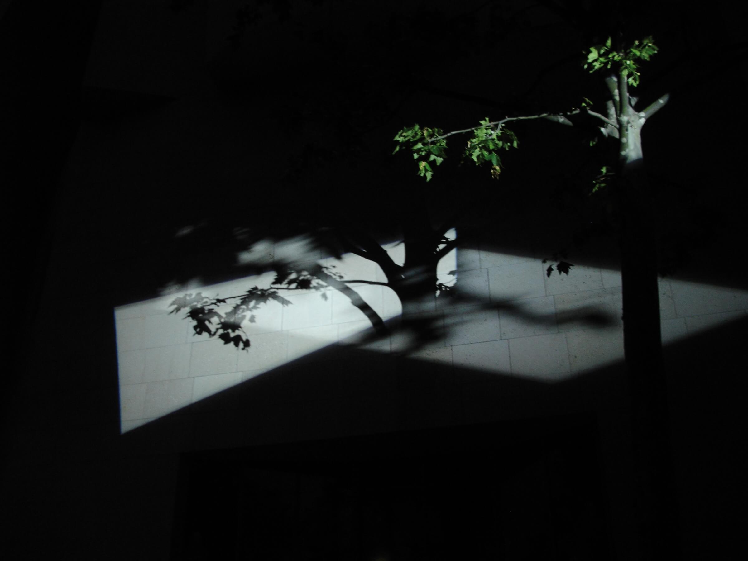 s020_p09_k09